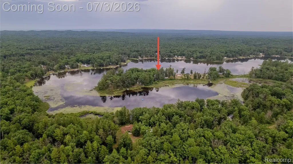 Lot 15 & 16 Paradise Drive Plainfield Township MI 48761