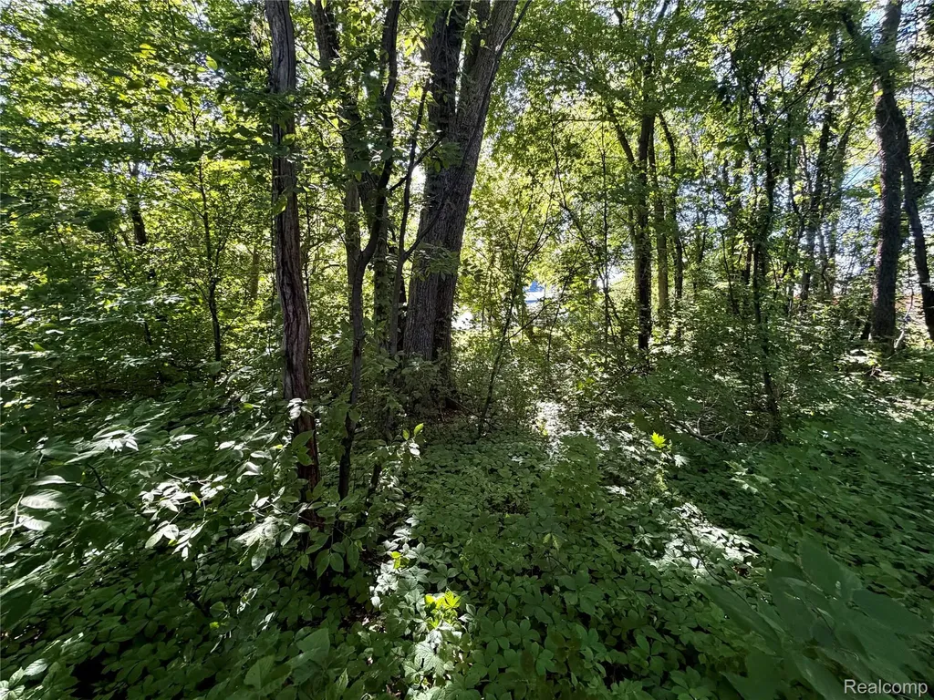 50730 Fairchild Road Chesterfield Township MI 48051