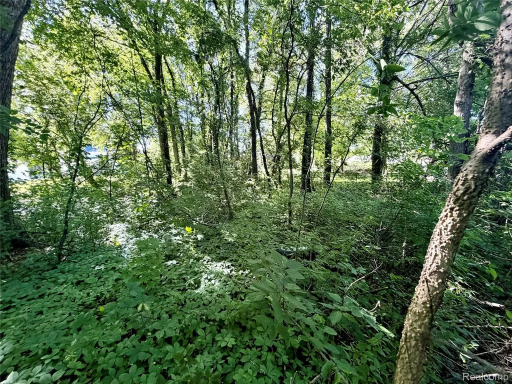 50730 Fairchild Road Chesterfield Township MI 48051