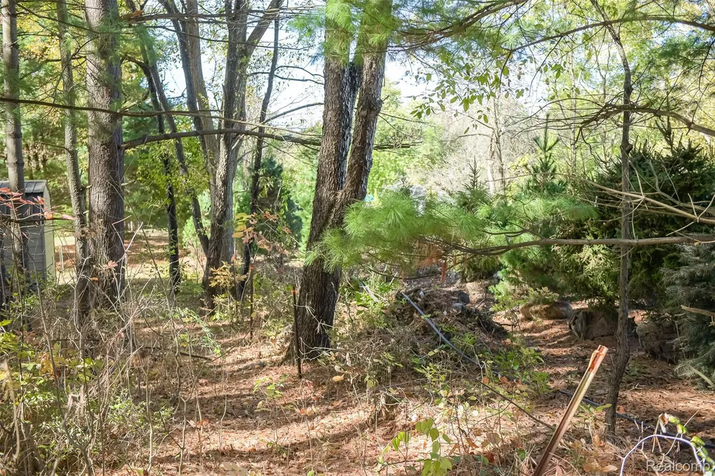 2076 Seymour Lake Road Brandon Charter Township MI 48462
