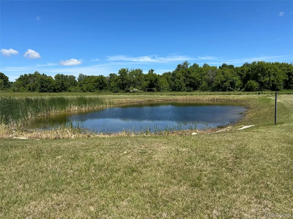 3850 Densmore Road Juniata Township MI 48723