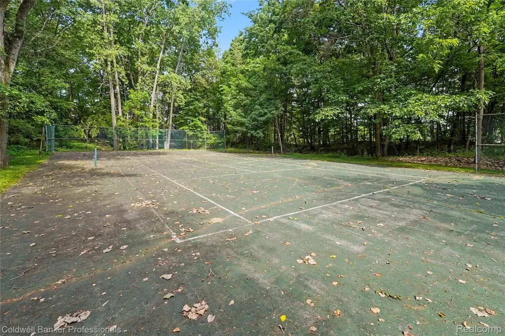 3583 Mitchell Road Elba Township MI 48446