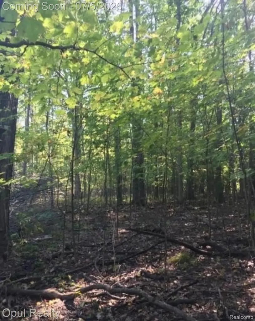 7503 Reading Road Jefferson Township MI 49271