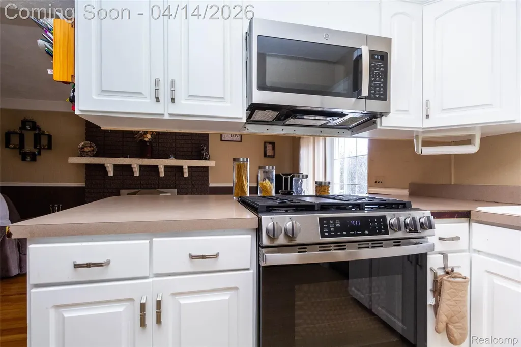 30087 Lyndon Street Livonia City MI 48154