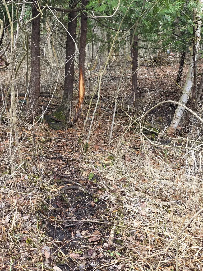 00 Martus Road North Branch Township MI 48446