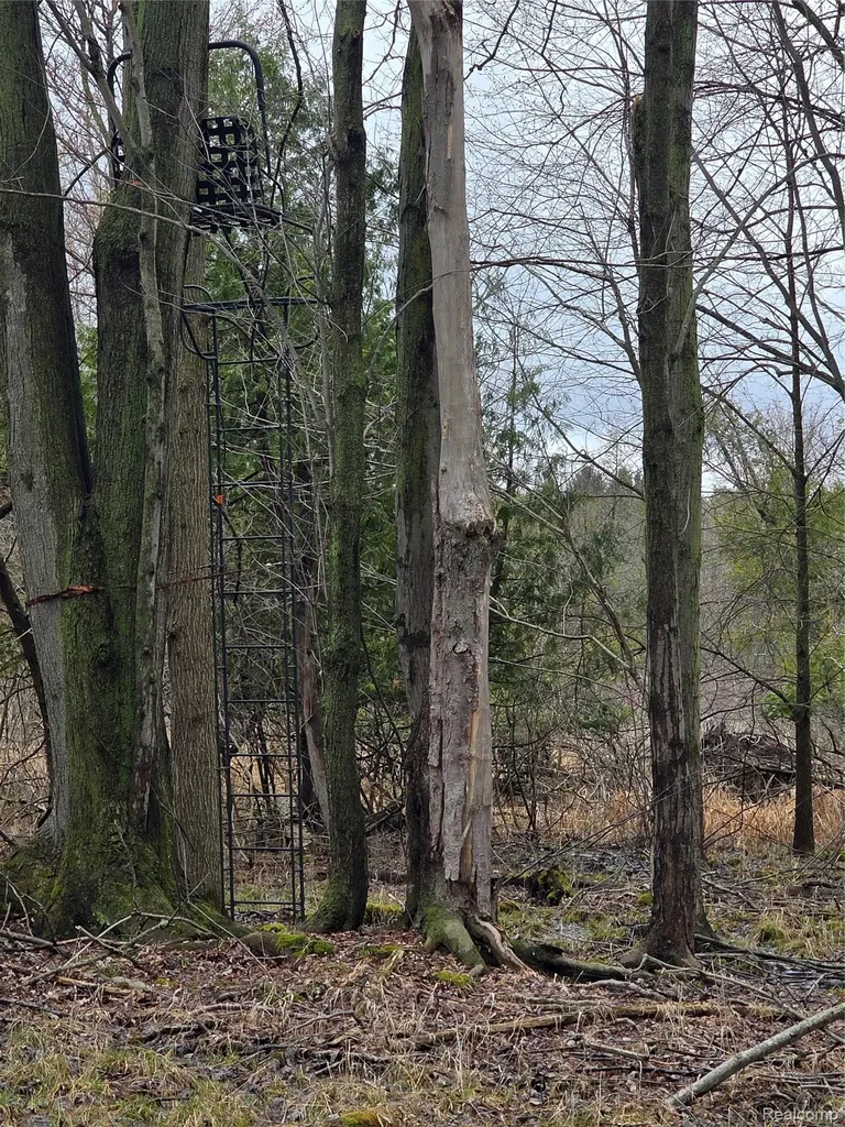00 Martus Road North Branch Township MI 48446