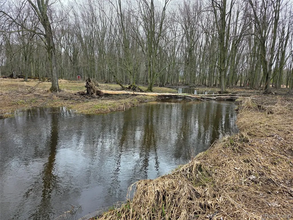 00 Martus Road North Branch Township MI 48446