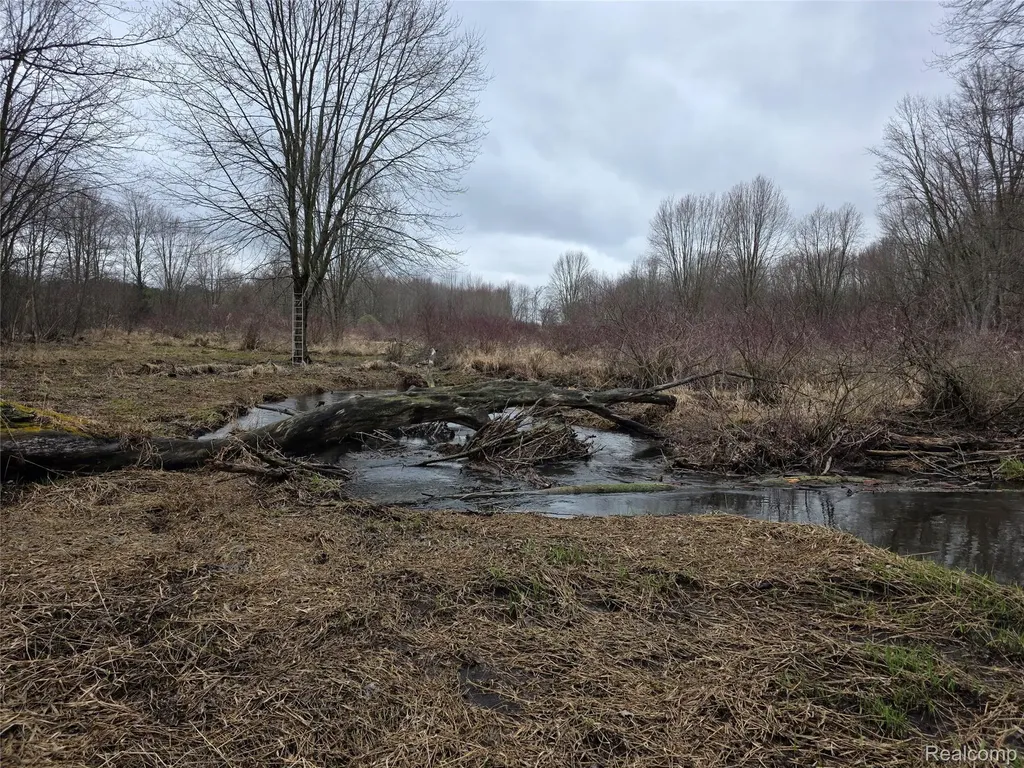 00 Martus Road North Branch Township MI 48446