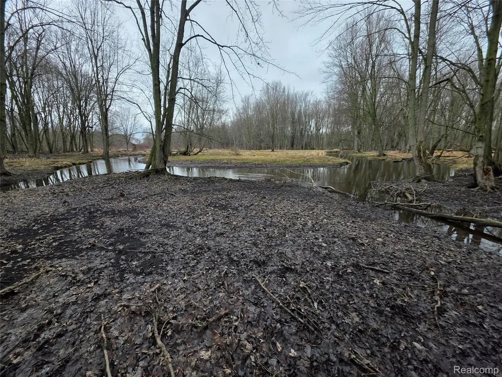 00 Martus Road North Branch Township MI 48446