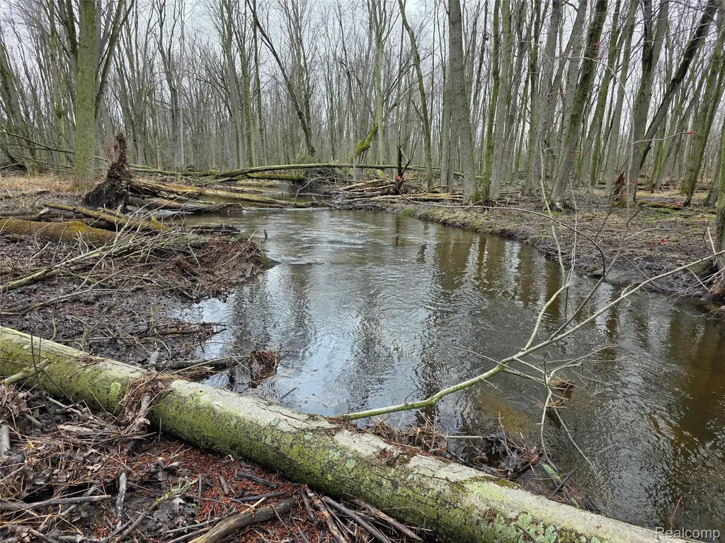 00 Martus Road North Branch Township MI 48446