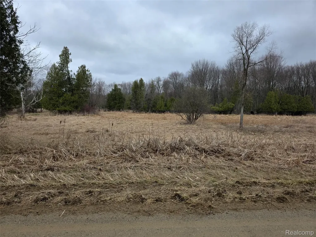 00 Martus Road North Branch Township MI 48446