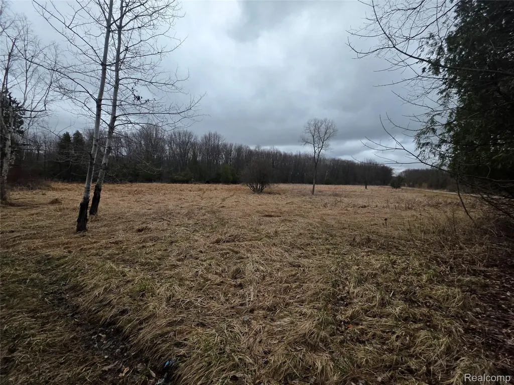 00 Martus Road North Branch Township MI 48446