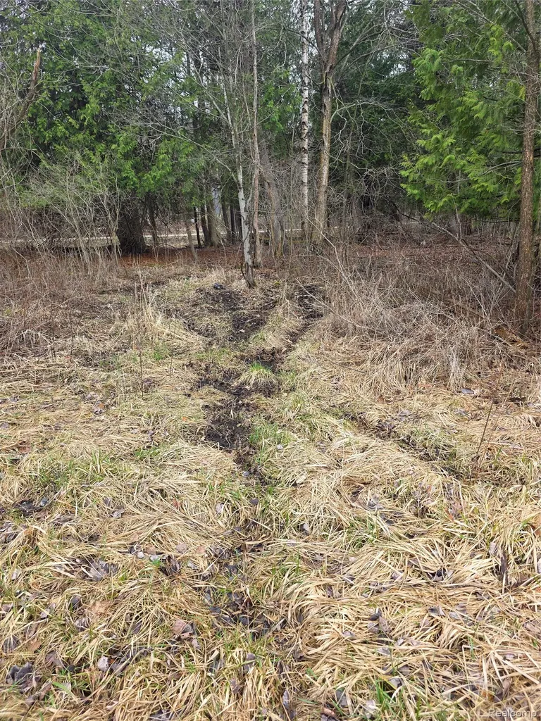 00 Martus Road North Branch Township MI 48446