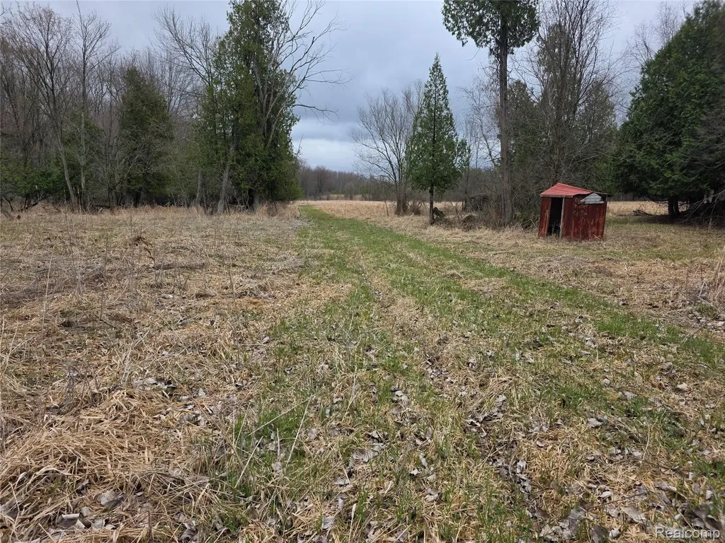 00 Martus Road North Branch Township MI 48446
