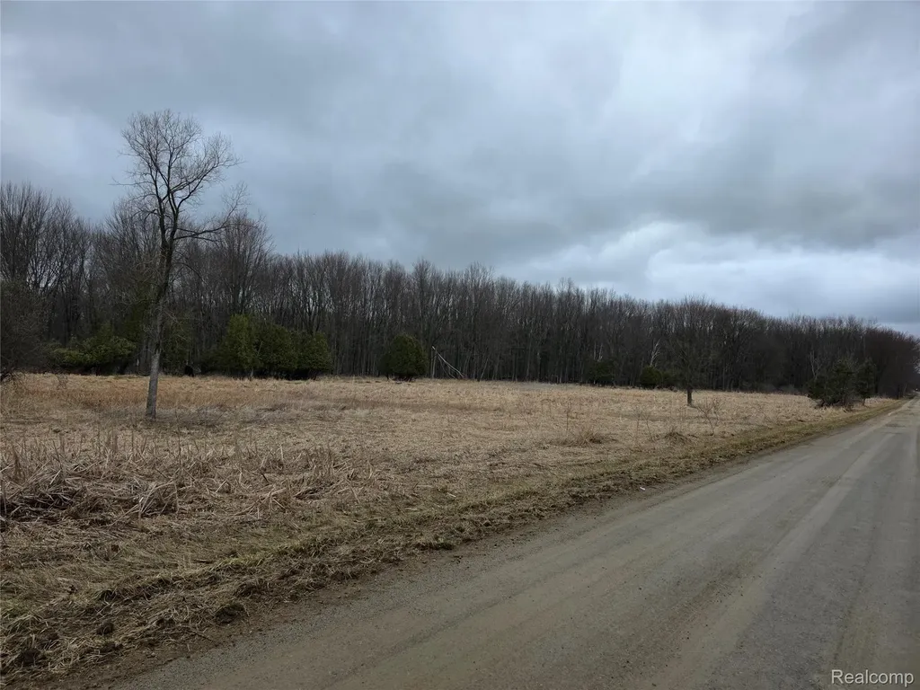 00 Martus Road North Branch Township MI 48446