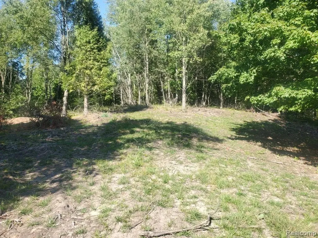 Parcel A Lake Bluff Drive Arcadia Township MI 49613