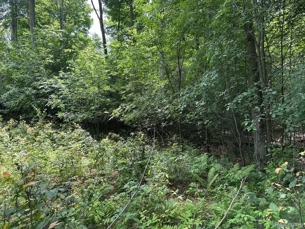 Parcel A Lake Bluff Drive Arcadia Township MI 49613