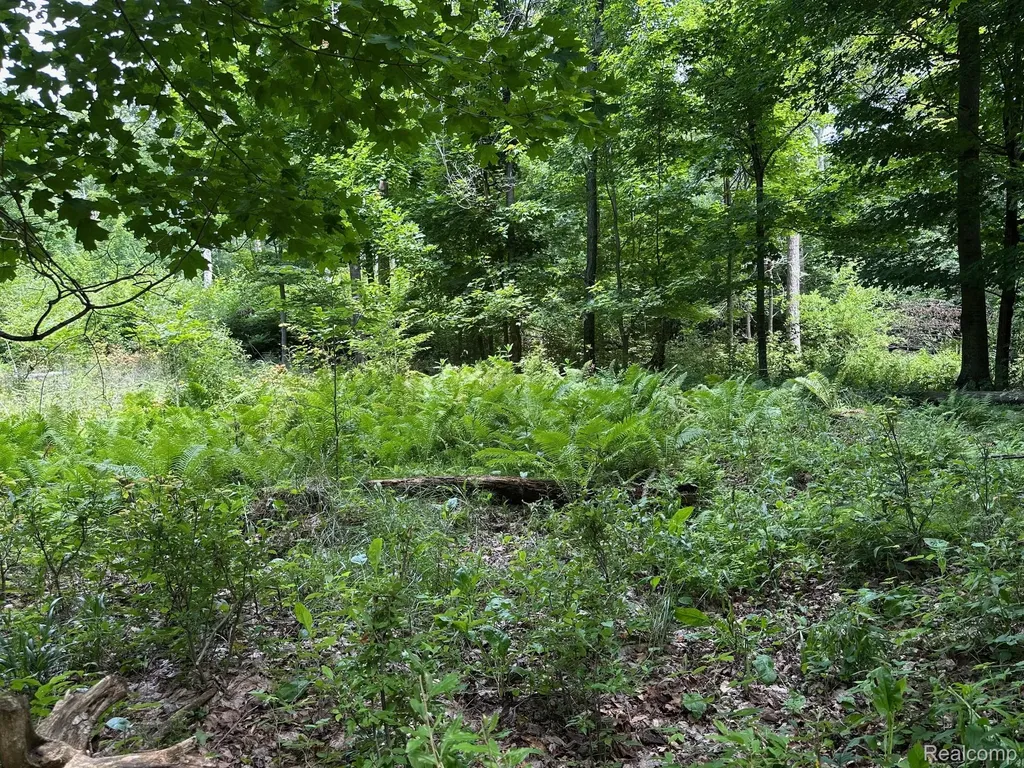 Parcel A Lake Bluff Drive Arcadia Township MI 49613