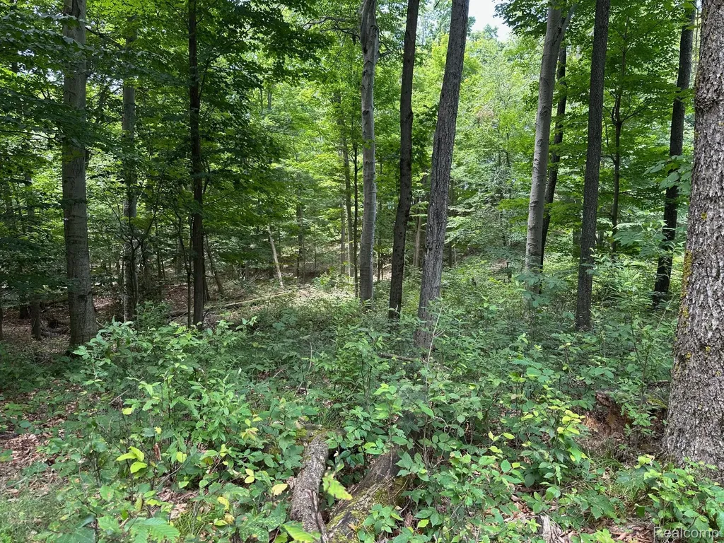 Parcel A Lake Bluff Drive Arcadia Township MI 49613