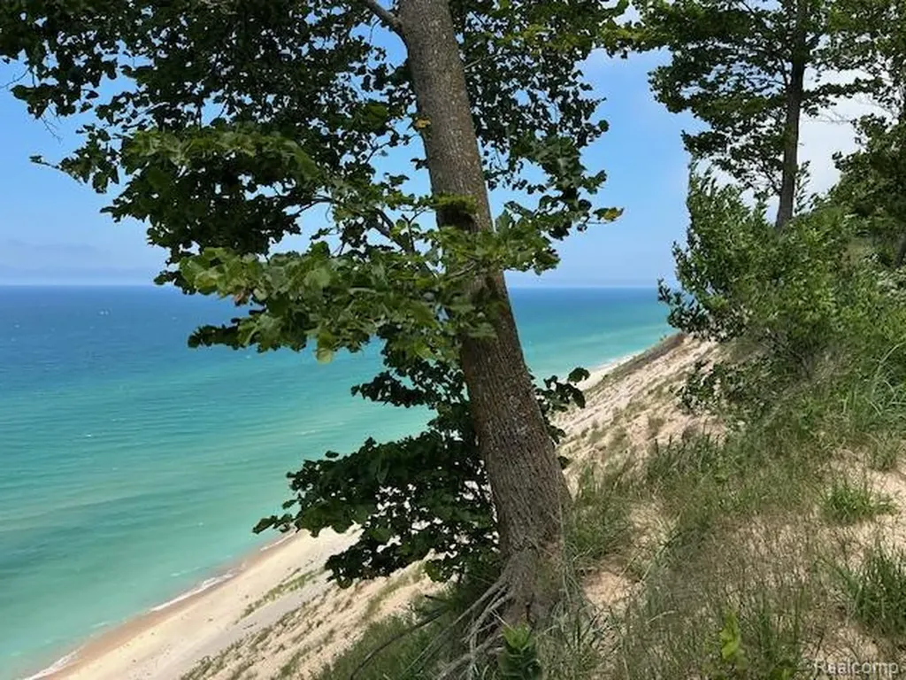 Parcel A Lake Bluff Drive Arcadia Township MI 49613