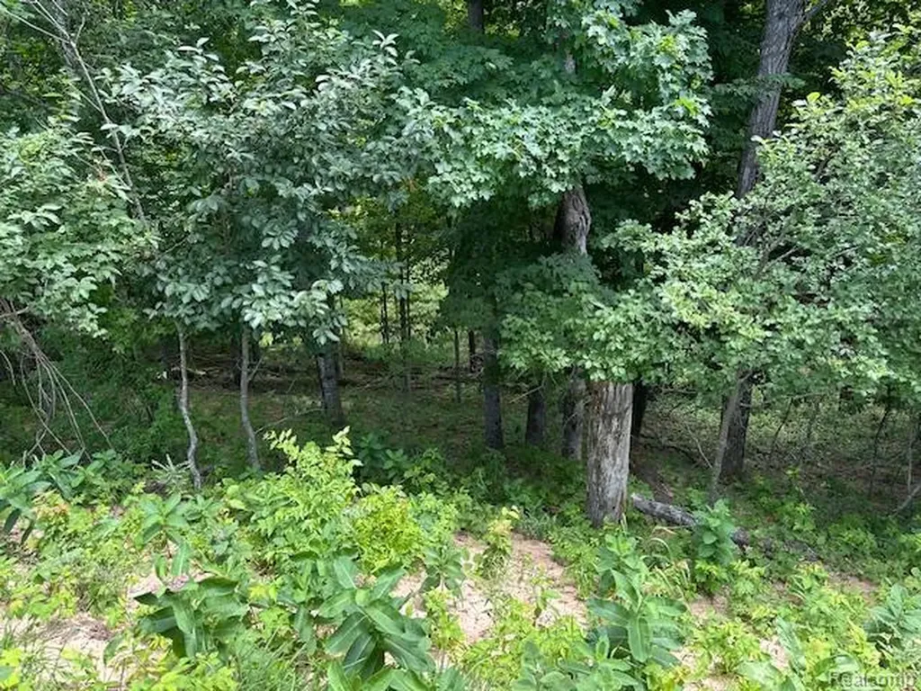 Parcel A Lake Bluff Drive Arcadia Township MI 49613