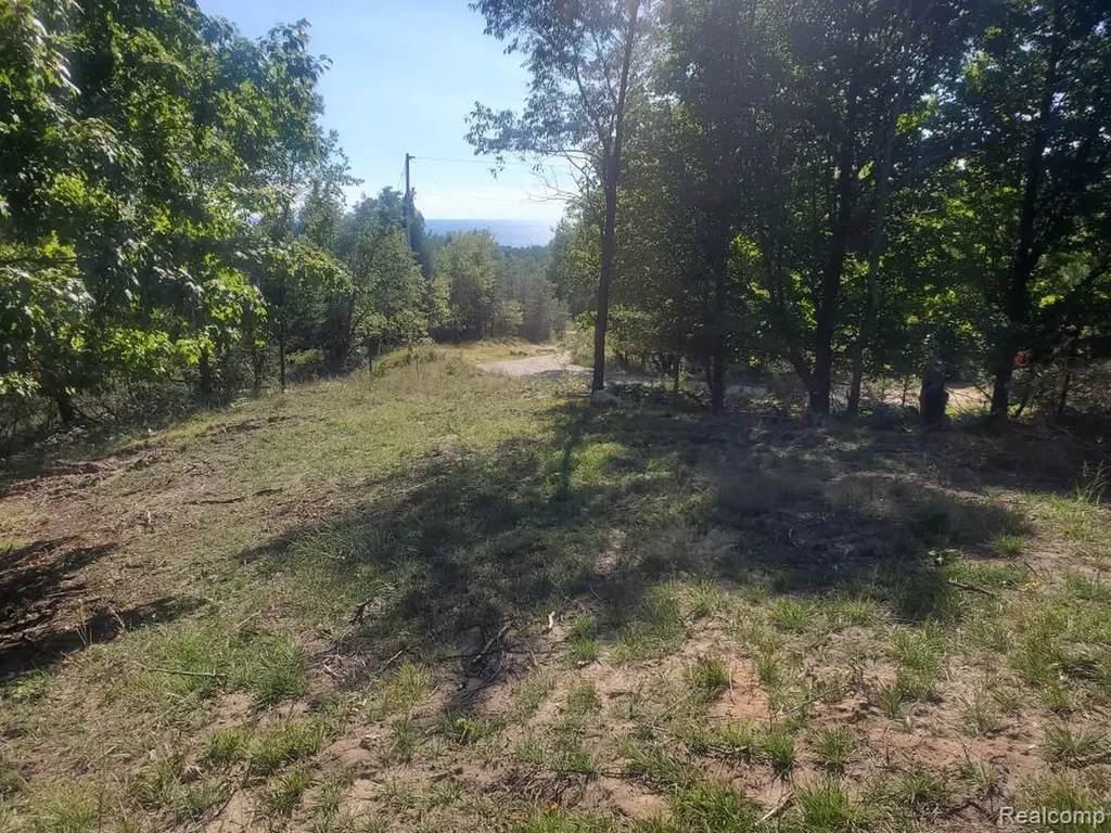 Parcel A Lake Bluff Drive Arcadia Township MI 49613