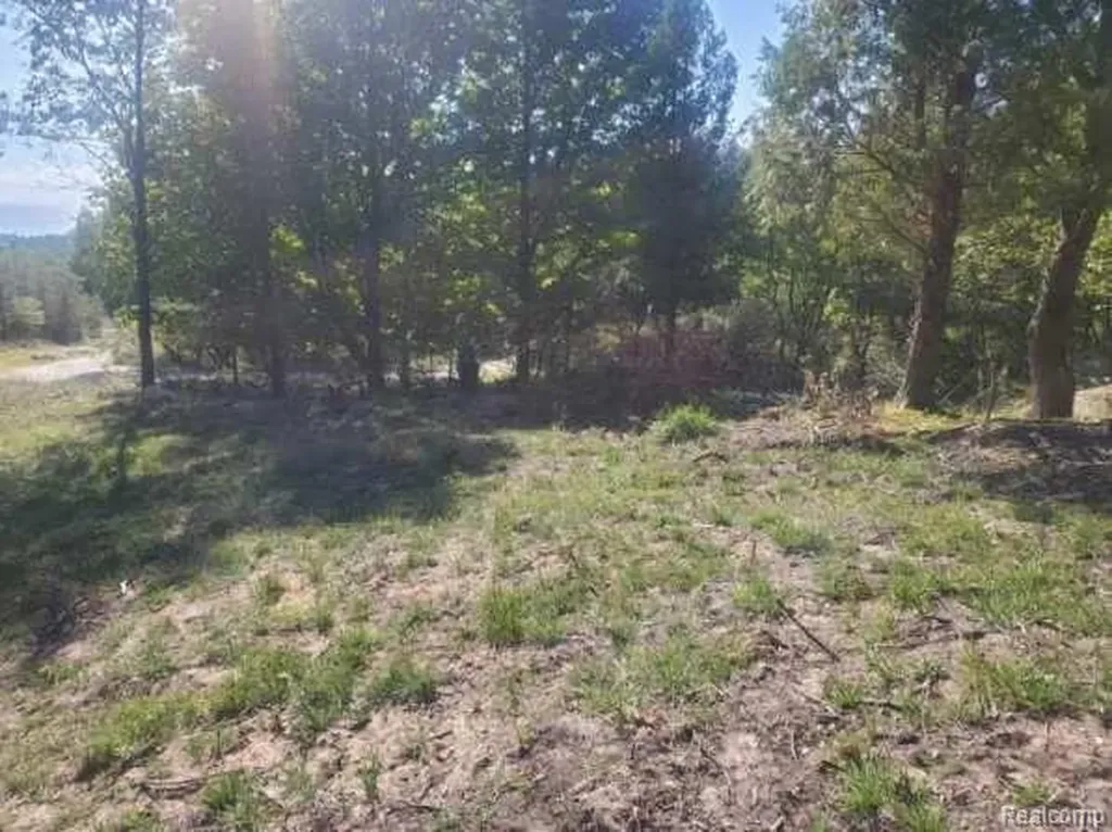 Parcel A Lake Bluff Drive Arcadia Township MI 49613