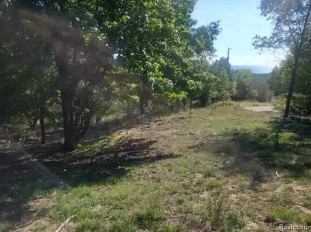 Parcel A Lake Bluff Drive Arcadia Township MI 49613