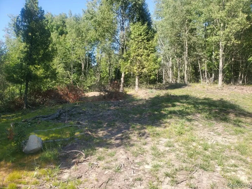 Parcel A Lake Bluff Drive Arcadia Township MI 49613