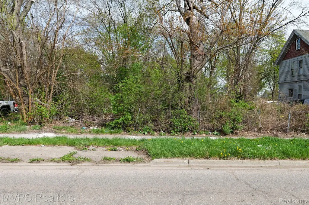 61 S South Paddock Street Pontiac City MI 48342