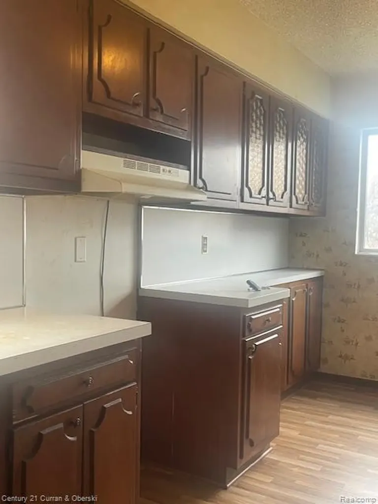 20540 Syracuse Street Detroit City MI 48234