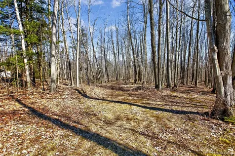 2633 S Stevens Road Greenbush Township MI 48738