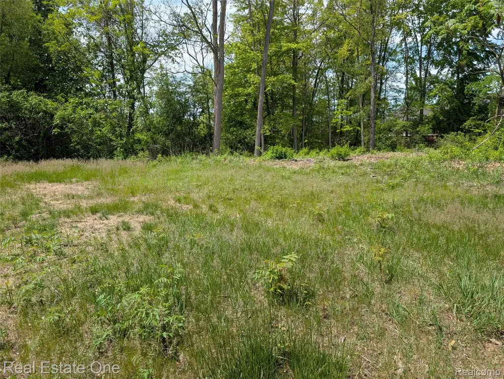 508 Woodstone Court White Lake Charter Township MI 48386