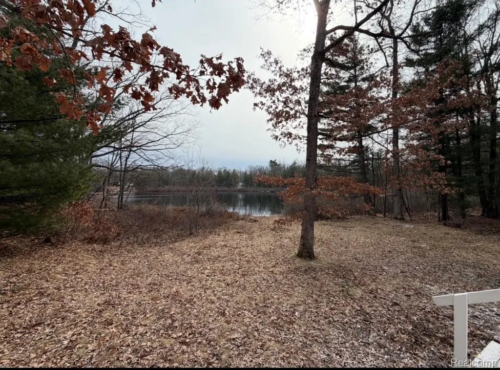 6240 S Labelle Drive Yates Township MI 49642