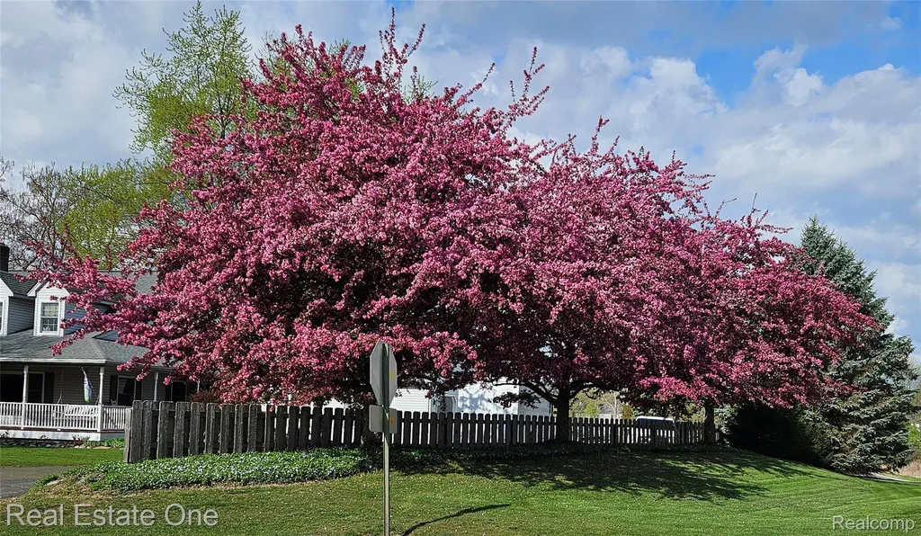11030 Marshall Road Green Oak Township MI 48178