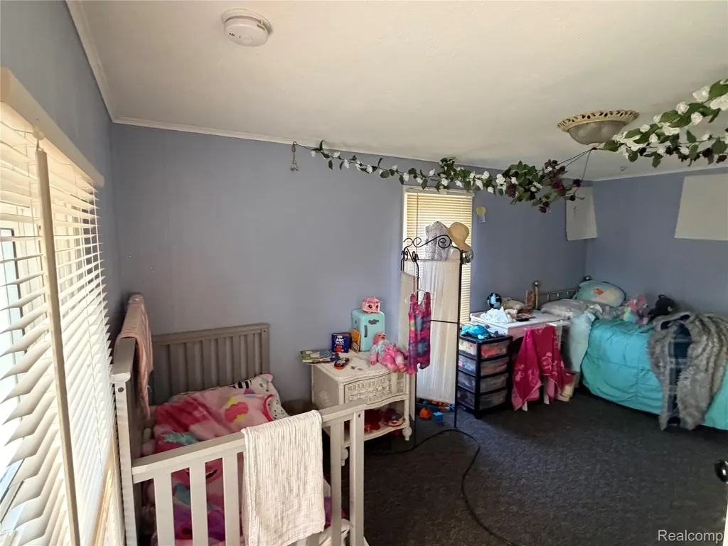 6038 Byron Road Cohoctah Township MI 48855