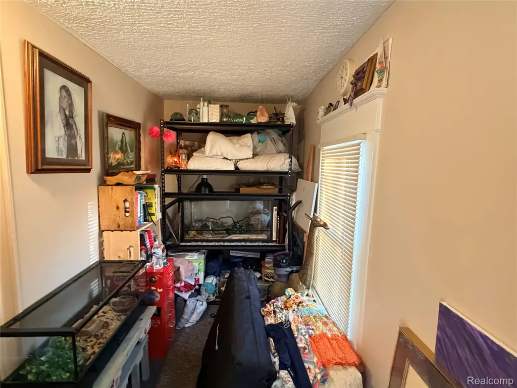 6038 Byron Road Cohoctah Township MI 48855