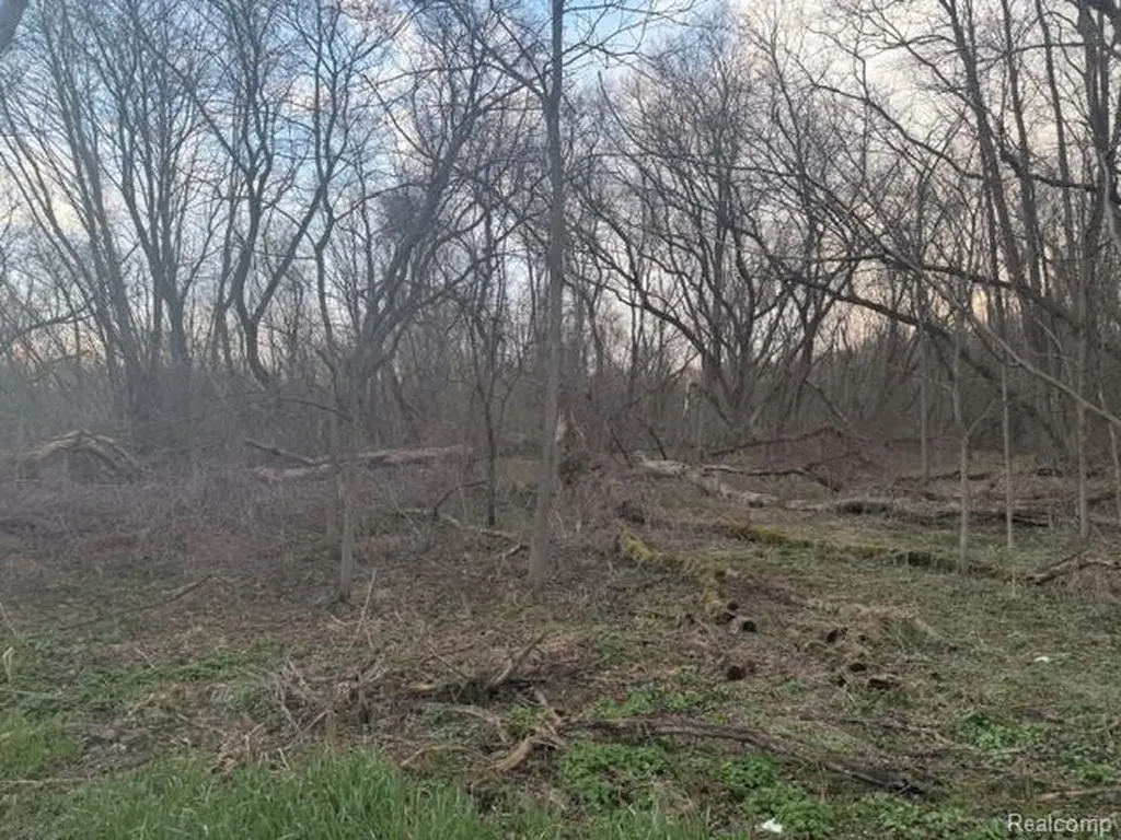 3940 Demode Road Rose Township MI 48442