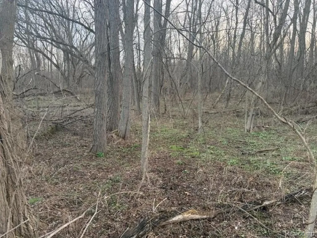 3940 Demode Road Rose Township MI 48442