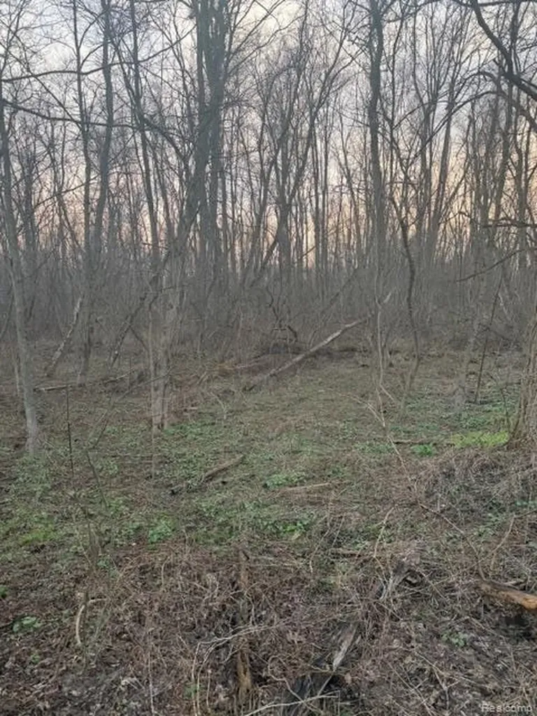 3940 Demode Road Rose Township MI 48442