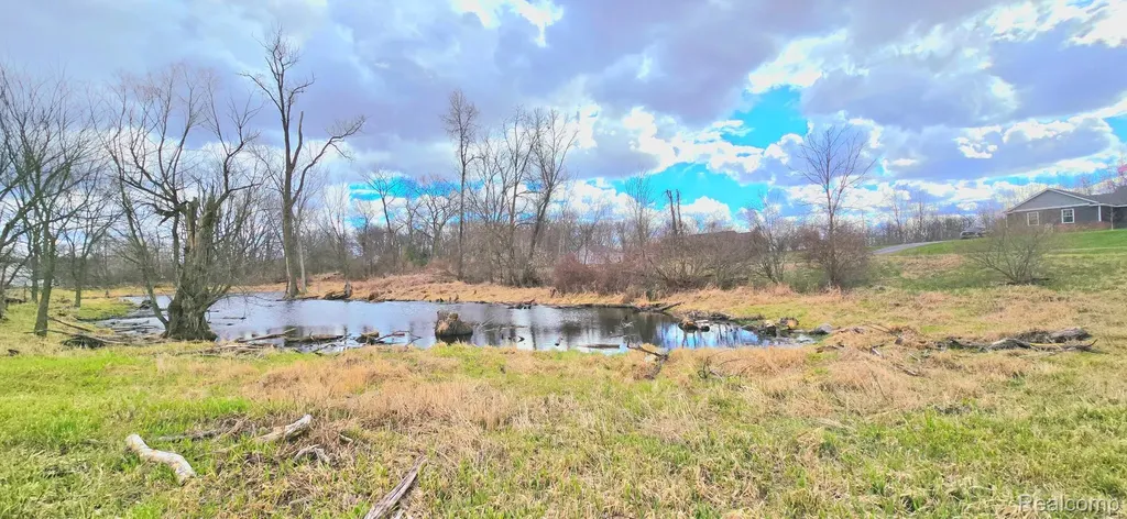 9910 Iosco Ridge Drive Iosco Township MI 48137