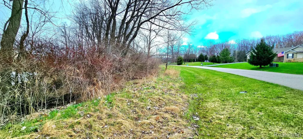 9910 Iosco Ridge Drive Iosco Township MI 48137