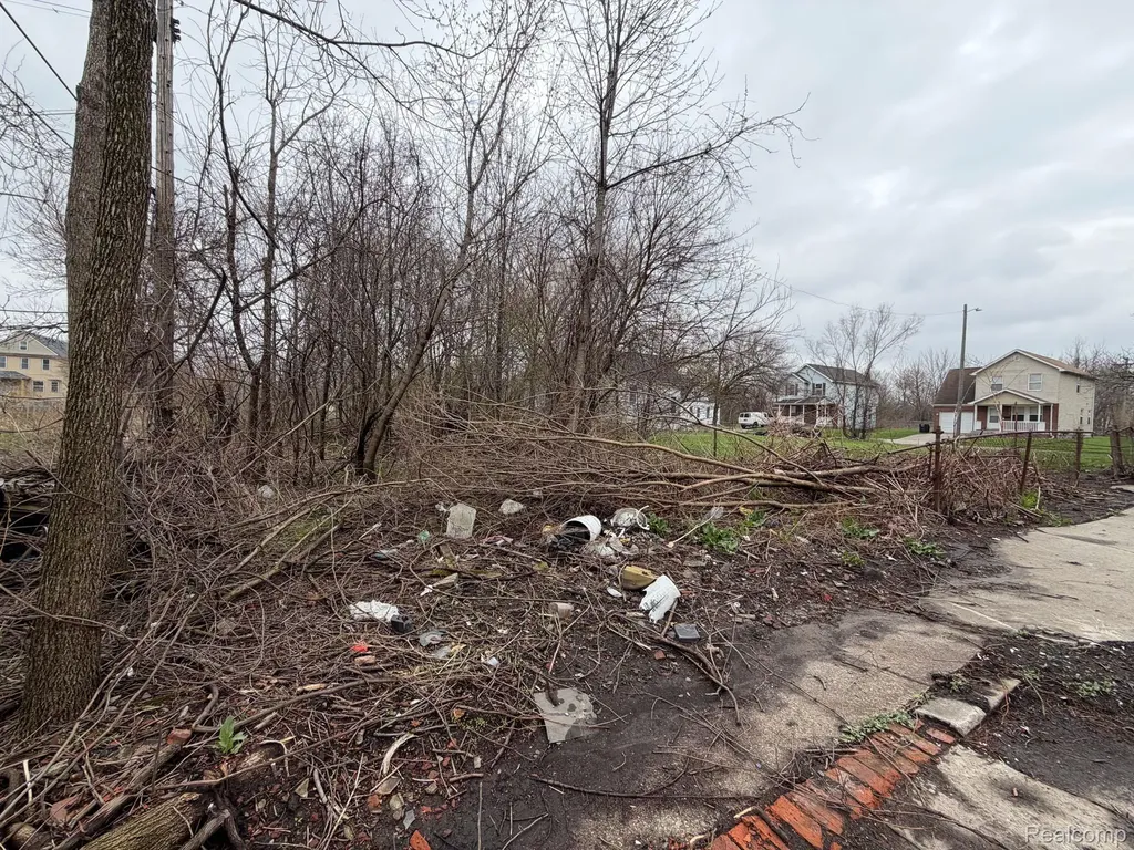 2540 W Forest Avenue Detroit City MI 48208