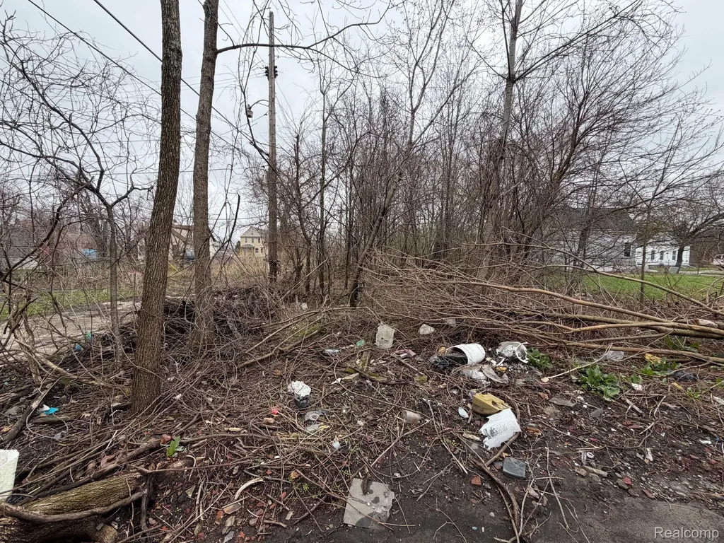 2540 W Forest Avenue Detroit City MI 48208