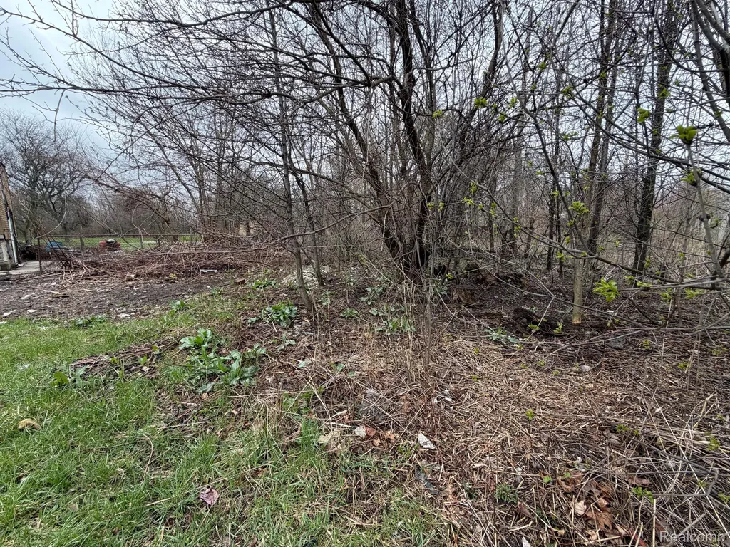 2540 W Forest Avenue Detroit City MI 48208