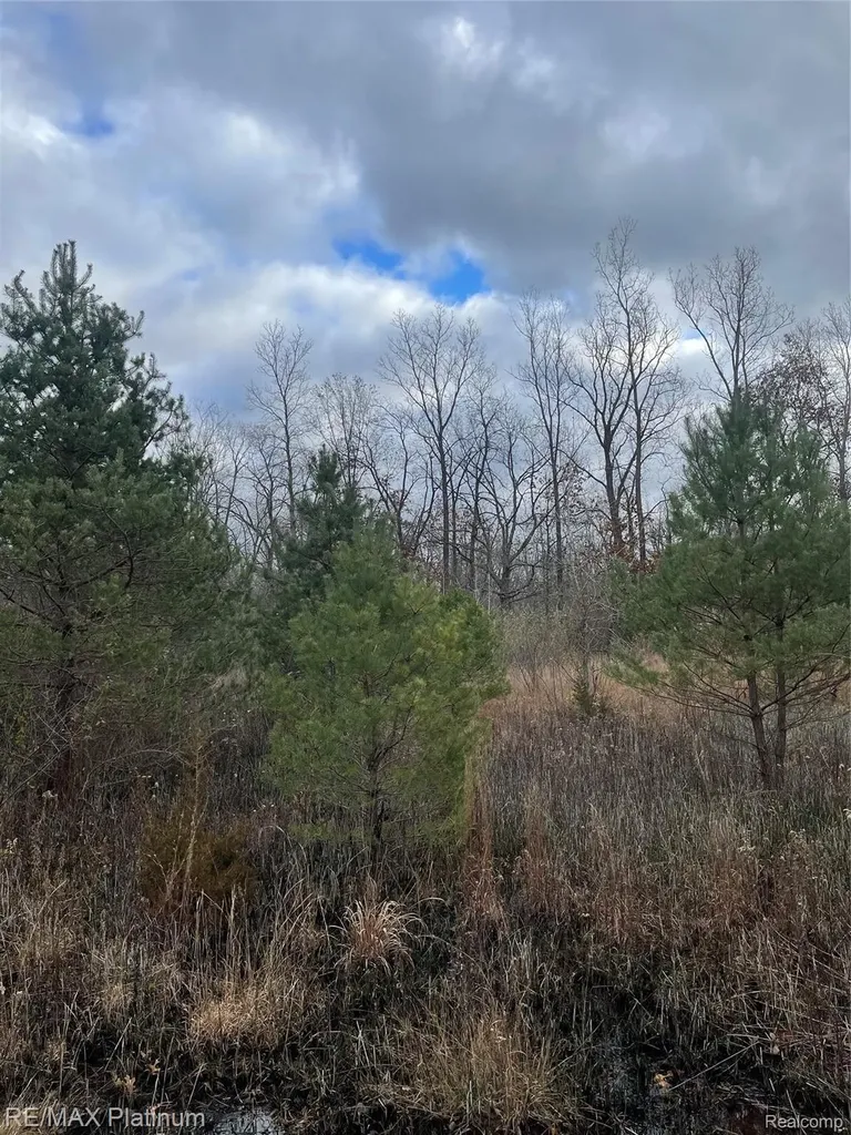 0 Seymour Road Argentine Township MI 48451