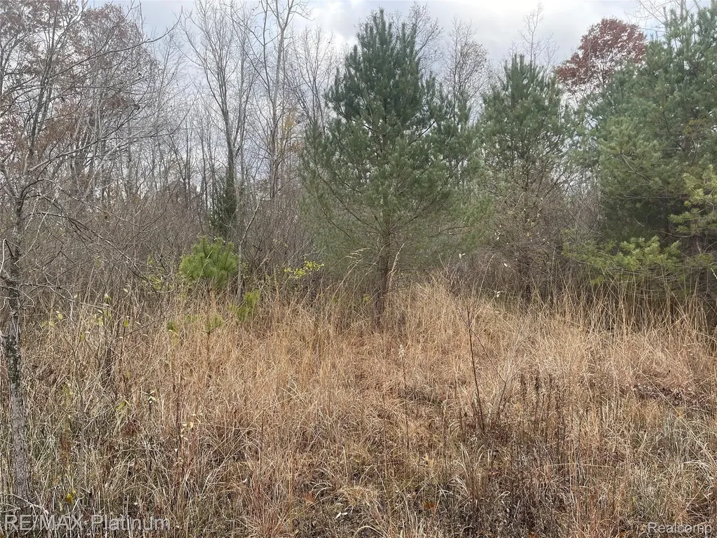 0 Seymour Road Argentine Township MI 48451