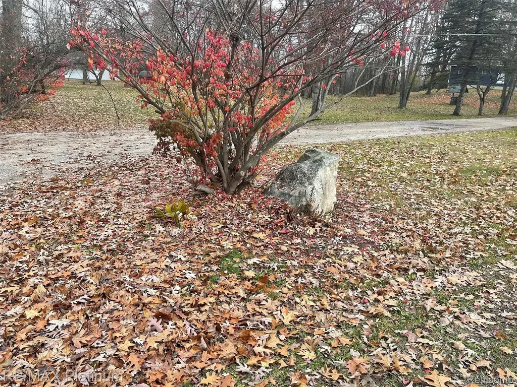 0 Seymour Road Argentine Township MI 48451