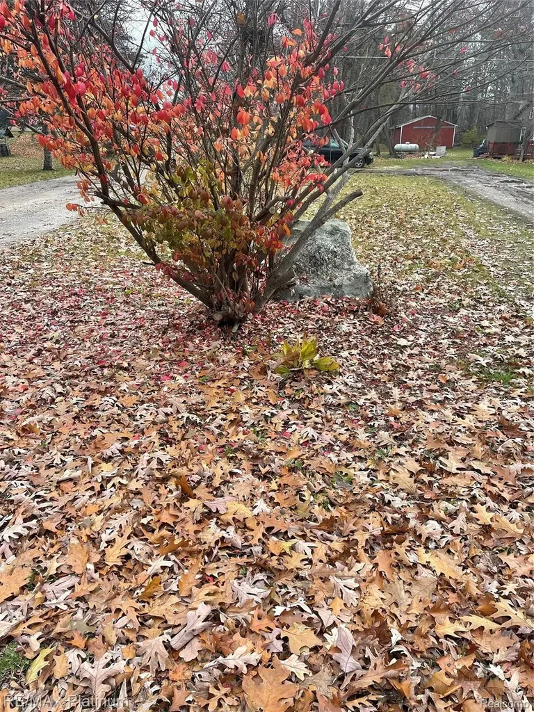 0 Seymour Road Argentine Township MI 48451