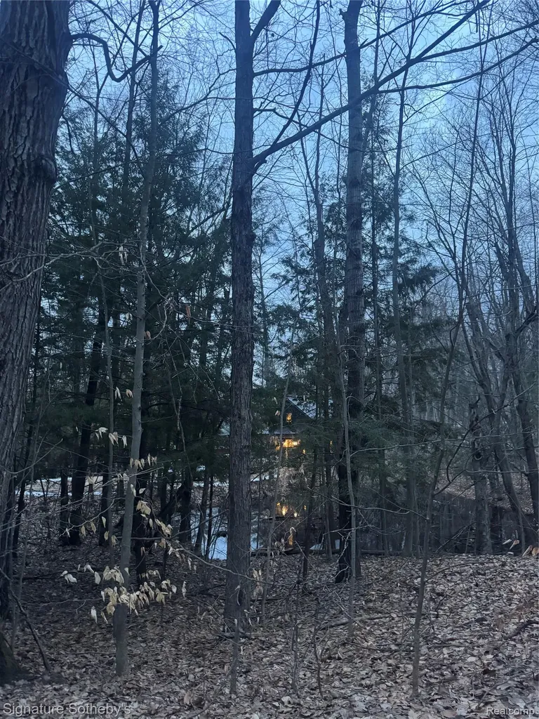 229 Forest Trail Rose Lake Township MI 49655